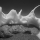 Illustration for article titled 41 More Amazing Photos From the Sony World Photography Awards